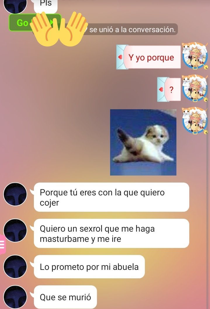 Capturas Amino/Proyect Z tweet media