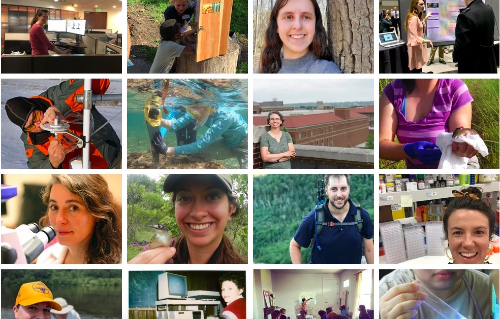 science_a_thon's tweet image. After five years of celebrating STEM, Science-A-Thon will be ending its run. We've had so much fun following along with the hundreds of you that have shared a #dayofscience over the years!