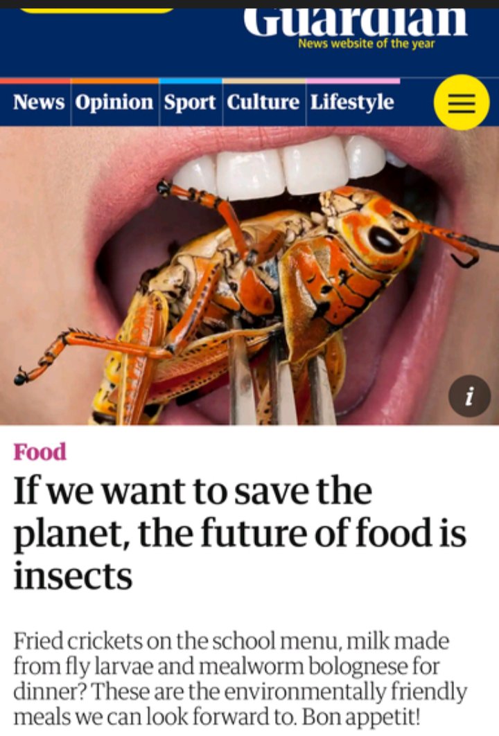 entocurean's tweet photo. Brainiacs at /r/conspiracy think conserving water and grain is an elitist plot to give them parasites : entomophagy https://t.co/eNjKjp35Cy https://t.co/ErA3srEBOW