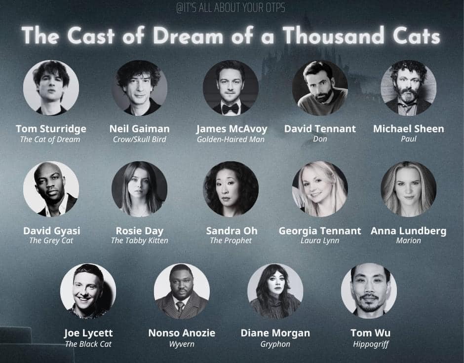 In case you were wondering... #Sandman #DreamOfAThousandCats