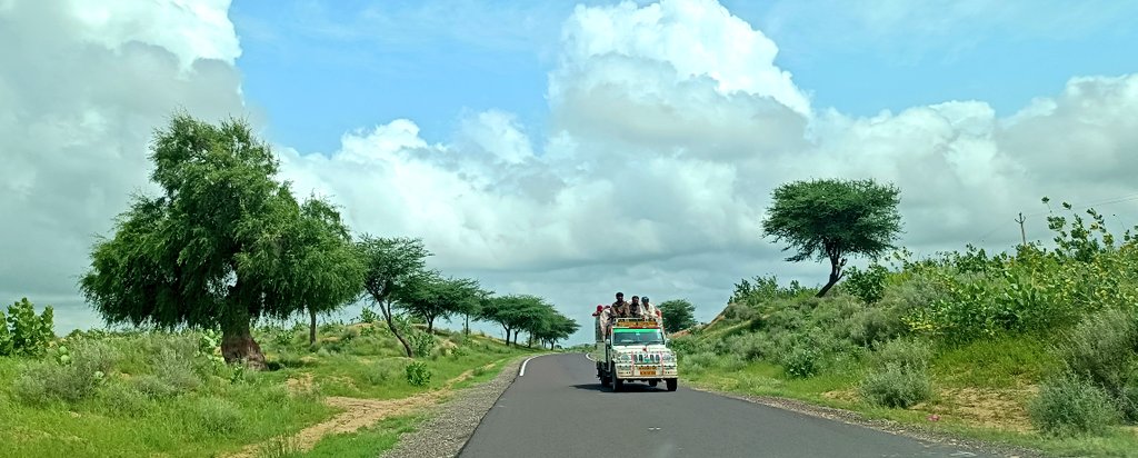 DrGariiMis's tweet photo. Baba white sheep going on the street...
#highwayphotography https://t.co/woMlU5hQfr
