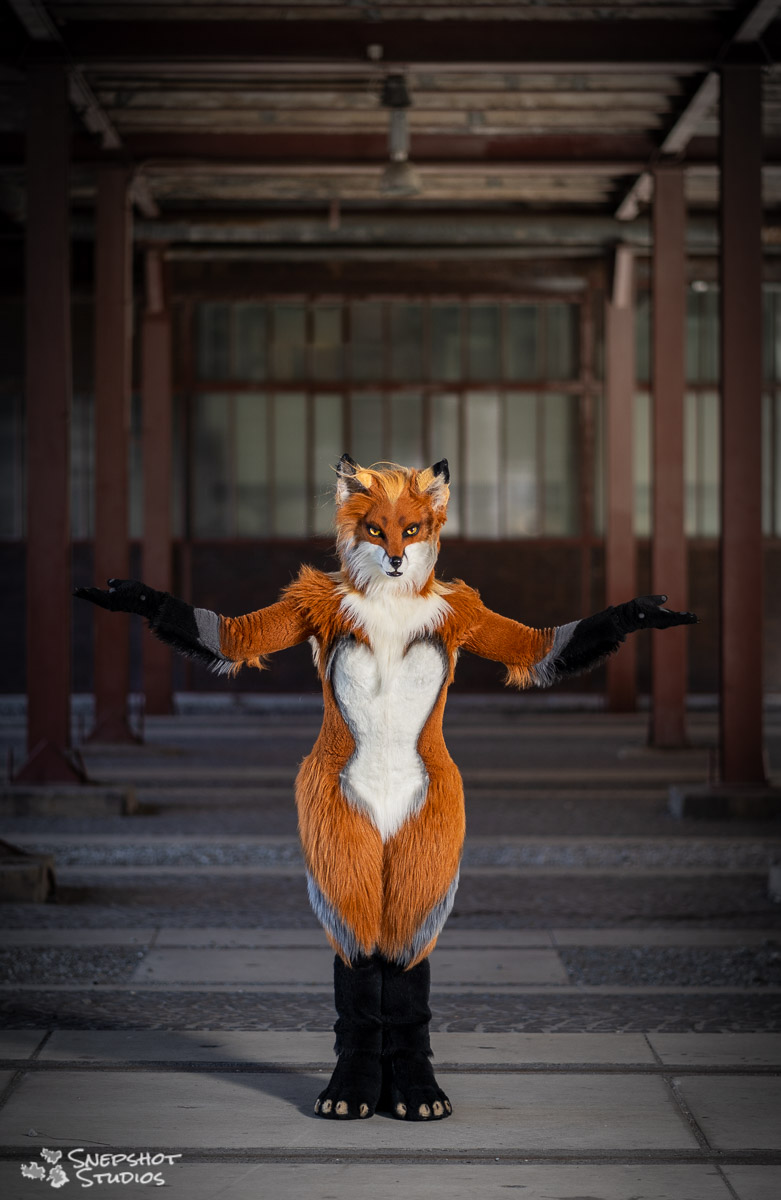 snepshots's tweet photo. It is #FursuitFriday and #WorldPhotographyDay on the same day... A perfect chance to have a look at some fursuit portraits from my portfolio.

Today with: @shadowfox_de, @Alpha_Ki, @OrahierJen/@Mylunee, @Emmacreatures/@gyrhawk and @ReynaVix https://t.co/qA1q5KYnCW