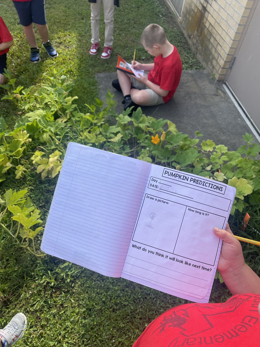 SouthElementar1's tweet photo. Did you know that South has our very own pumpkin patch??? Mrs. Scott’s 2nd grade class made pumpkin predictions today!! They can’t wait to see the life cycle of a pumpkin unfold right before their eyes! 🎃🌱#bestschoolever #mightymustangs #pumpkinpatchfun @JMCSchools @suptking https://t.co/xdBMrPT8Yc