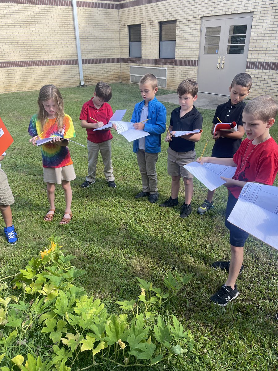 SouthElementar1's tweet photo. Did you know that South has our very own pumpkin patch??? Mrs. Scott’s 2nd grade class made pumpkin predictions today!! They can’t wait to see the life cycle of a pumpkin unfold right before their eyes! 🎃🌱#bestschoolever #mightymustangs #pumpkinpatchfun @JMCSchools @suptking https://t.co/xdBMrPT8Yc