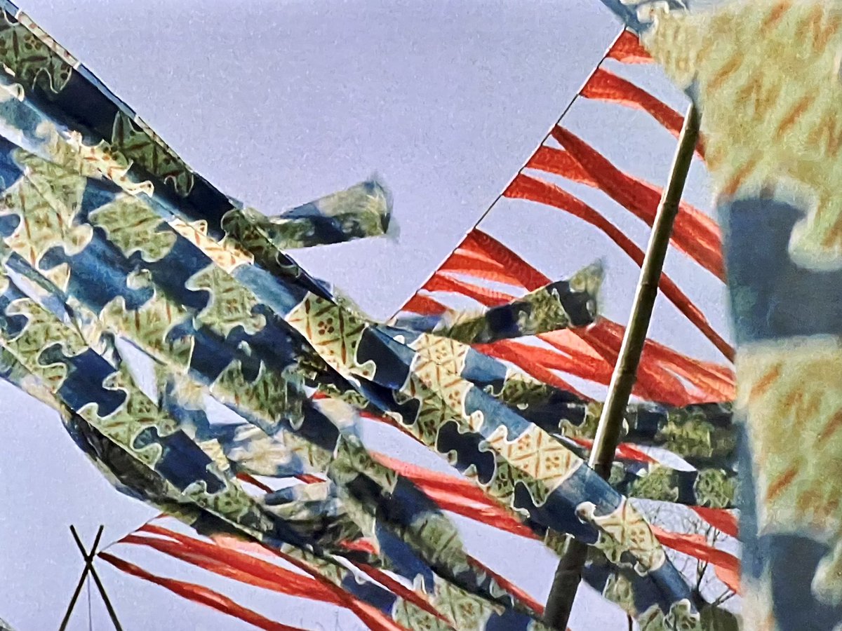holyspacemonkey's tweet photo. Some more loveliness from “Samurai II: Duel at Ichijoji Temple” (1955), directed by Hiroshi Inagaki. 🇯🇵 #SamuraiTrilogy
#ToshirôMifune #TCMParty #SummerUnderTheStars https://t.co/BXKJ5k0j7n