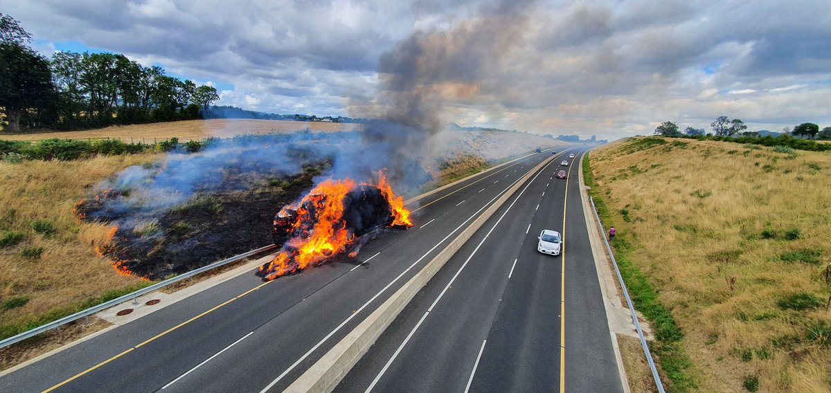 Pádraig Byrne tweet media
