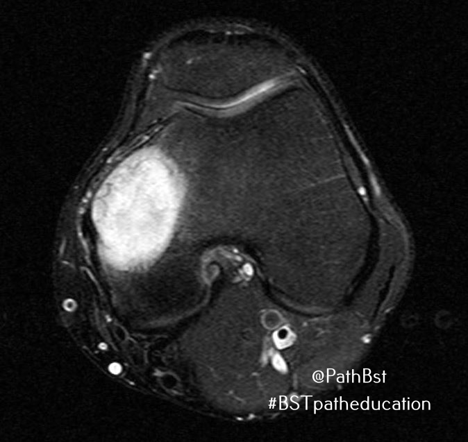 BST Path Education tweet media