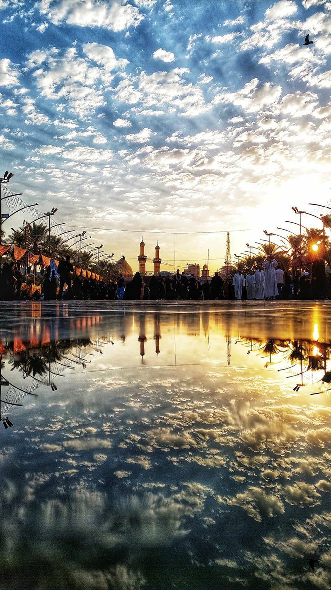 امیر tweet media