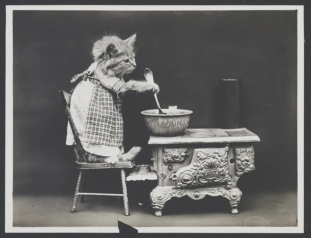 _bakedbeans's tweet image. look at these