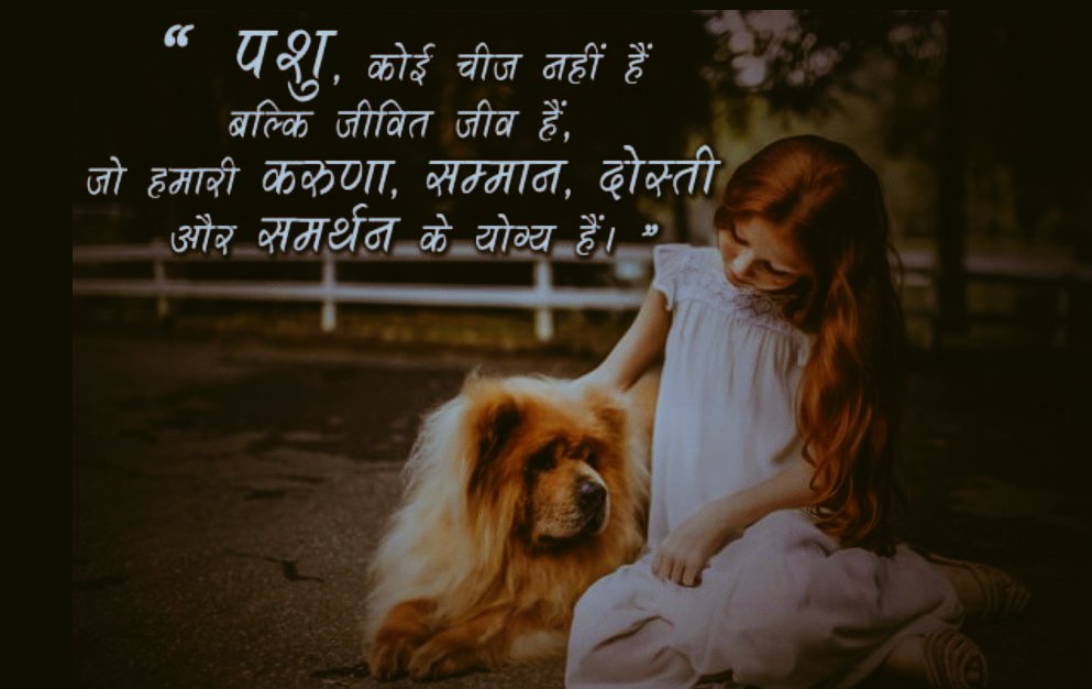 Bhavesh Chaudhary (@bhavesh26570235) on Twitter photo 