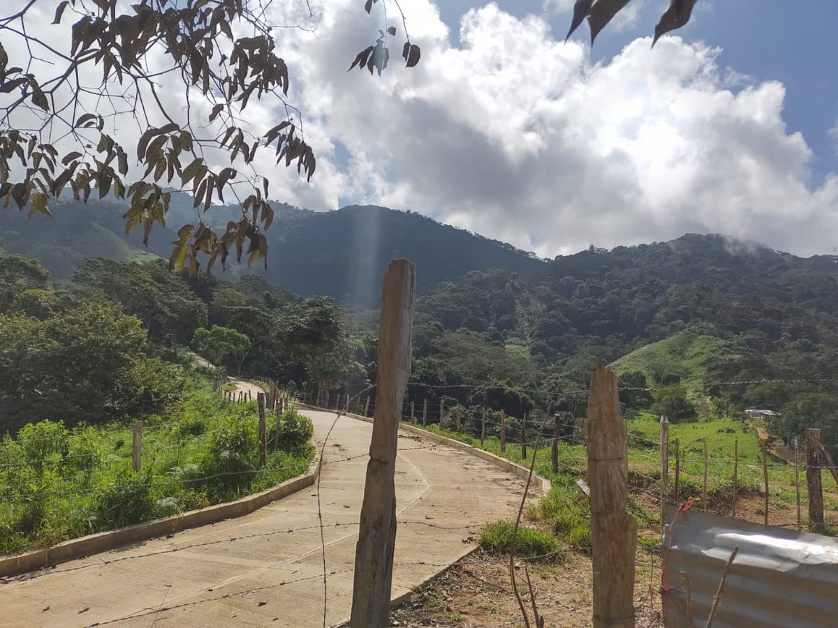 CarloSierras's tweet photo. Seguimos avanzando con vías para la paz y energías limpias en nuestro sector rural sacramento, gracias al OCAD paz por la aprobación de estos proyectos. @RenovacionCo @MilagroHg @petrogustavo @InviasOficial @MinTransporteCo @elviamejiafer @jccamacho6410 https://t.co/Gm47x3FzHU