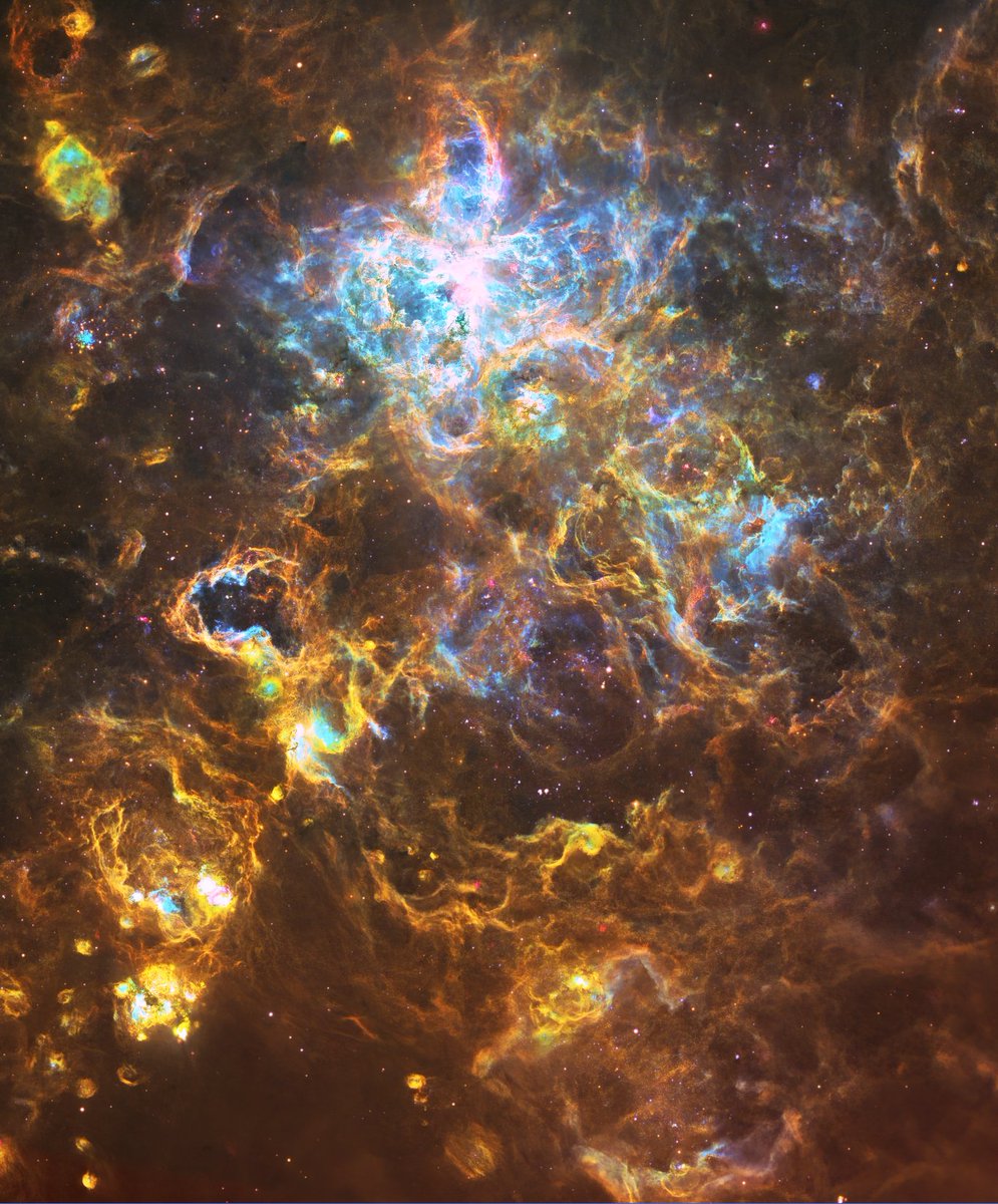 Welp- just broke my old record for longest exposure time for a photograph.  

119 hours of exposure on one of the largest nebulae in the universe, the Tarantula Nebula.