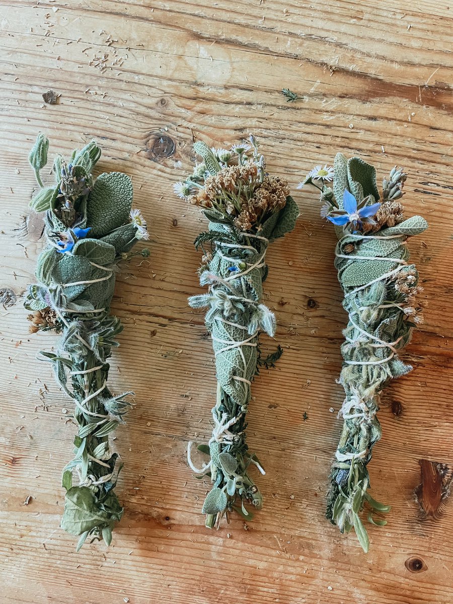 WFH lunch activity was a walk in the garden resulting in some smudge sticks. Kuttabottomish <a href="/mollyhardy/">Molly Hardy</a> for transplanting some native plants to me in spring. Felt good to include those medicines now that their roots are strong! #worklifebalance