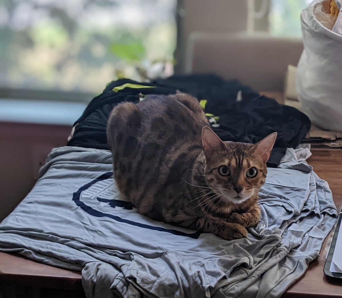 AustinUltimate's tweet photo. Austin Ultimate community, let's revive #FluffyFriday! π Want your pet or foster to be featured? Send a few photos & facts about your pet to info@austinultimate.org & we'll highlight them here!
πΆπ±π°π¦π
#FridayFluff #AustinUltimate #petsofultimate https://t.co/w510PTWGAO