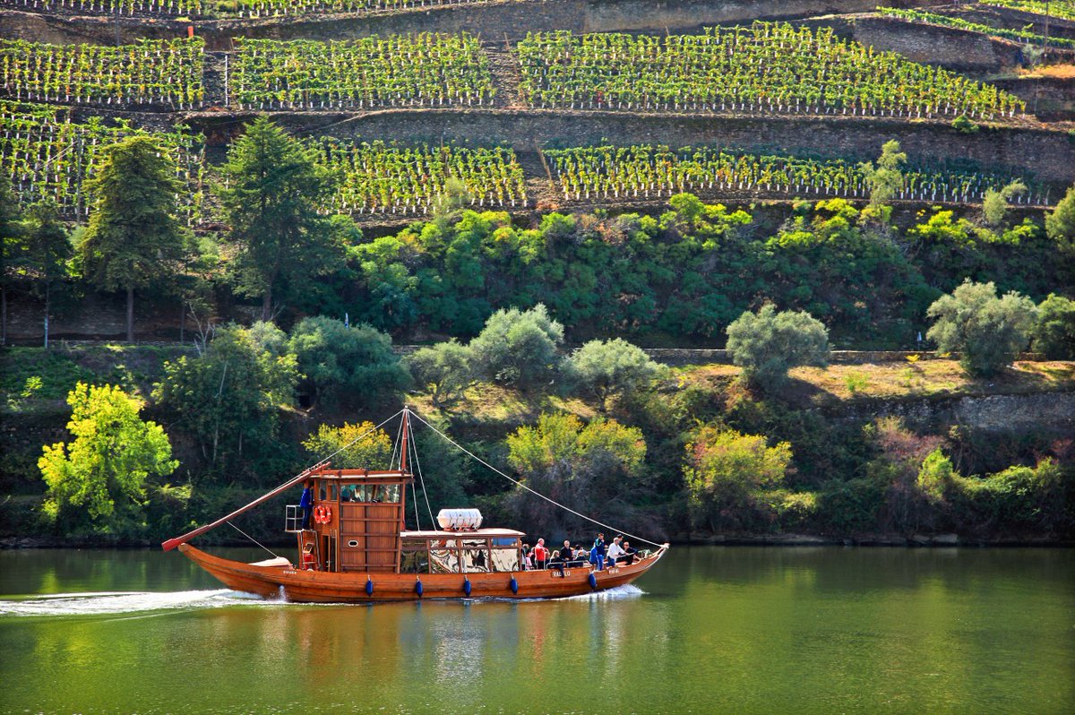 Lovely Portugal! Take the wine tour tonight, 5-7pm. We're pouring Pato, Seabra, Serradinha, and more (fee). Saturday, 12-4, it's our "here, there, and everywhere" selections from Oregon, S. Africa, Hungary, and Austria (no fee).