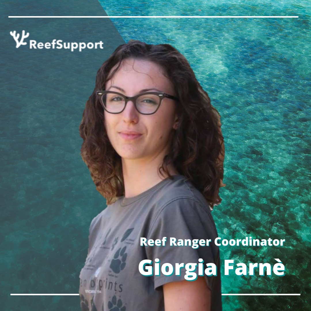 SupportReef's tweet photo. Hello Reef Rangers 💙

Say hello to Giorgia!
Giorgia recently joined us as our new Reef Ranger Coordinator

Check our bio for more interesting information!🐳

#newmember #welcome #teammember #teamwork #coralreef #diving #savethebarrierreef #sealife #scubadiving #conservation https://t.co/EkHu1WHHsS