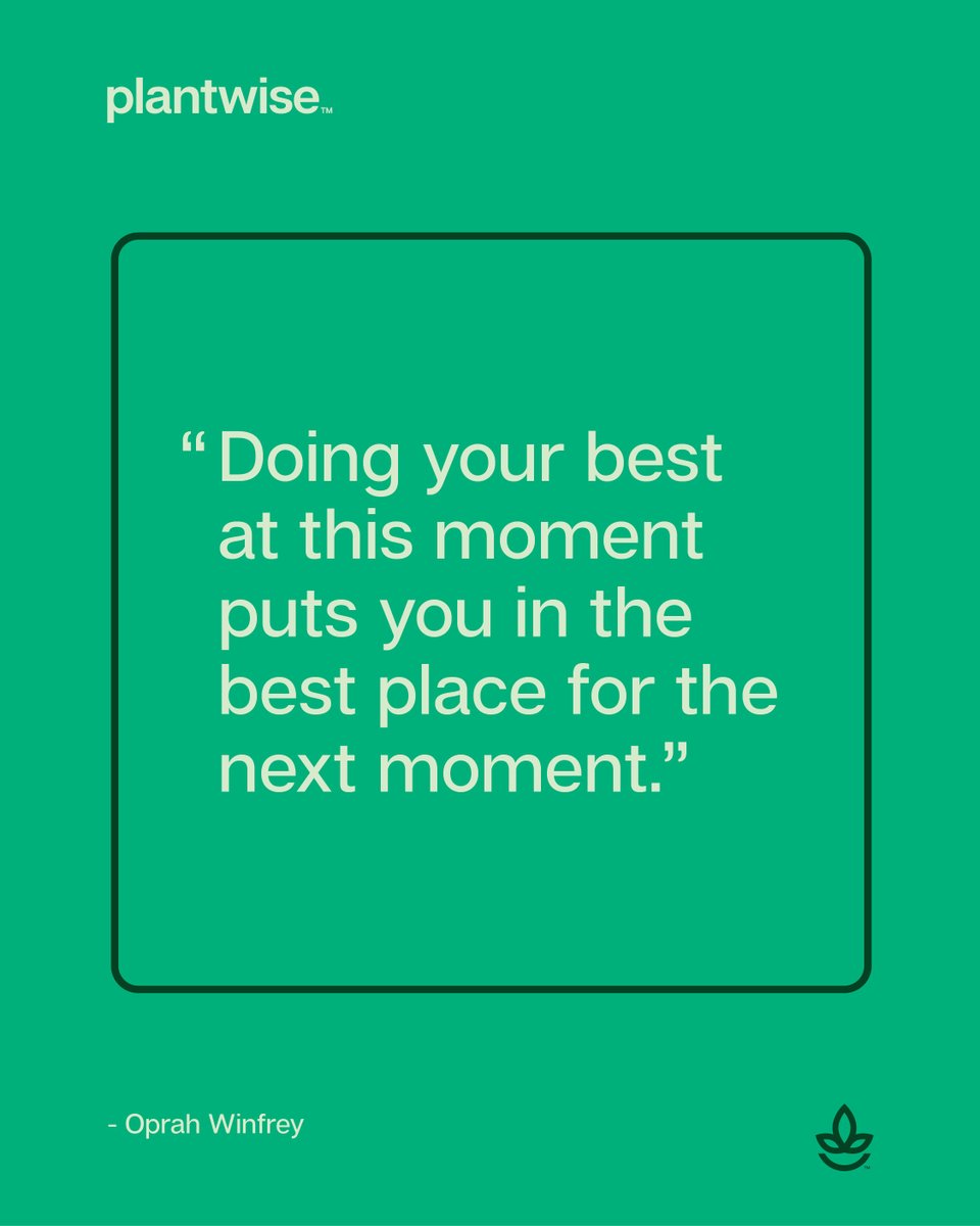 getplantwise's tweet photo. One step at a time...
.
.
.
Enjoy the weekend from Plantwise! https://t.co/Ojn39DWRUD