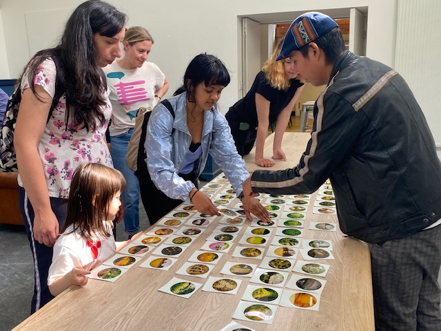 SignalFilmMedia's tweet photo. On Tuesday we visited @VisitGrizedale with artist Melanie King from @super_collider as part of our #CuratingClimate project. We used a Polaroid lab to process images taken in the forest and began to curate how they will look in an exhibition at Grizedale in the Autumn https://t.co/CUBV8AxV9b
