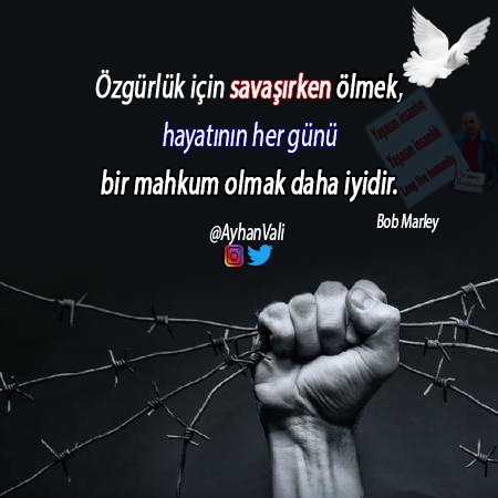 Özgürlük için savaşırken ölmek, hayatının her günü bir #mahkum olmak daha iyidir.
Bob Marley

<a href="/AyhanVali/">Long live humanity</a>
Klinik Psikolog,
Tek başına"#Yaşasınİnsanlık"adlı yapmak istediği yürüyüş için,her türlü destek olmanızı önemle rica edriz.

#iyigeceler #iyiaksamlar #gunaydin
#özgürlük