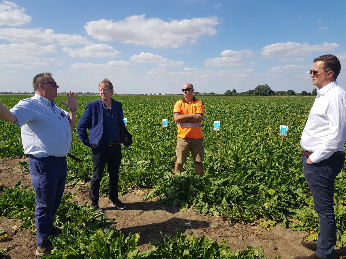 @paulbristow79 met @NFUSugar @mhssly this afternoon to discuss all things sugar beet #trade #plantprotection #buybritish