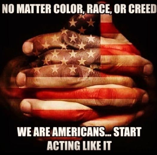 Real Mark Robbins 🇺🇸 tweet media