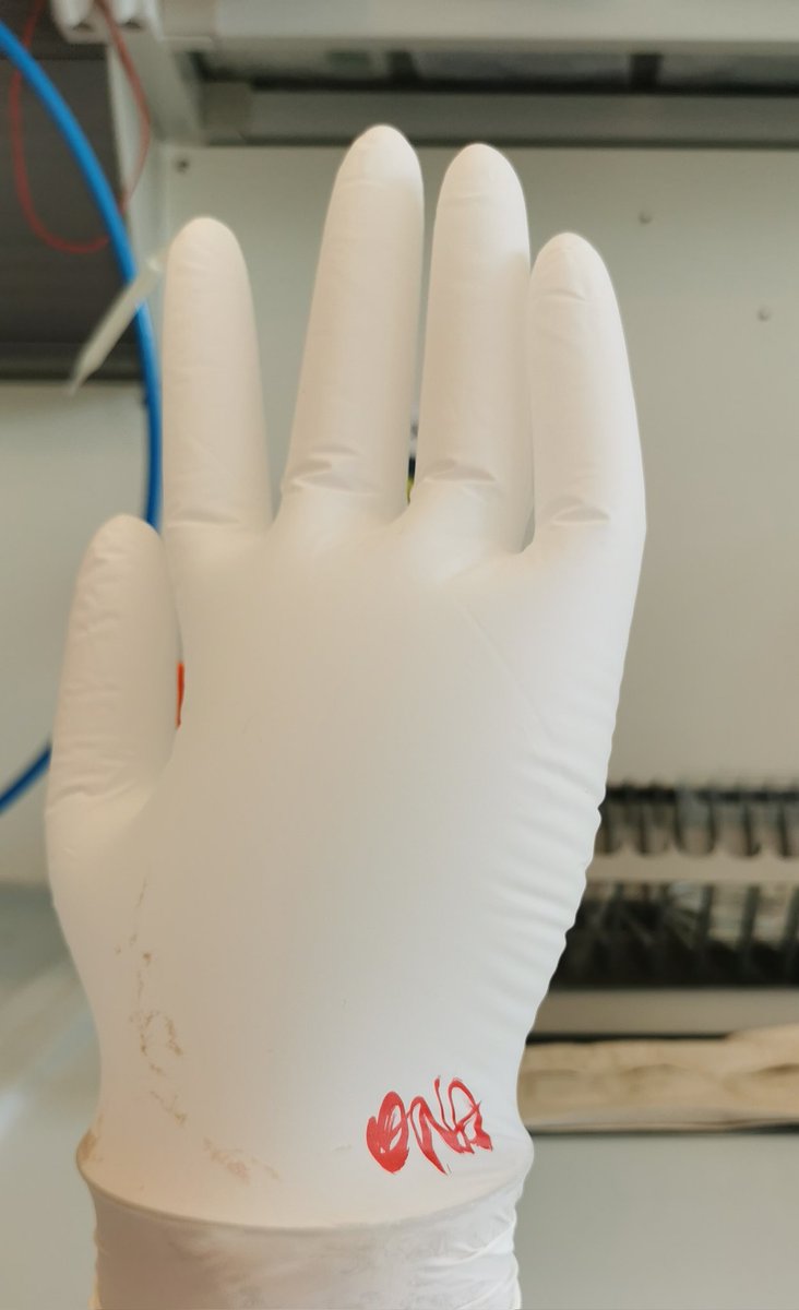 MarijaSingh's tweet photo. I use a lab glove to cover a yeast paste jar. Today I came back to find this. I jokingly said to our lab manager, see, I don't have #friends, this will be my friend. 1/6
#phdlife #phdchat #PhD #phdvoice #lablife #PhaDness #flygirl #drosophila #flylife #AcademicChatter #fun https://t.co/n4RZR6I51J
