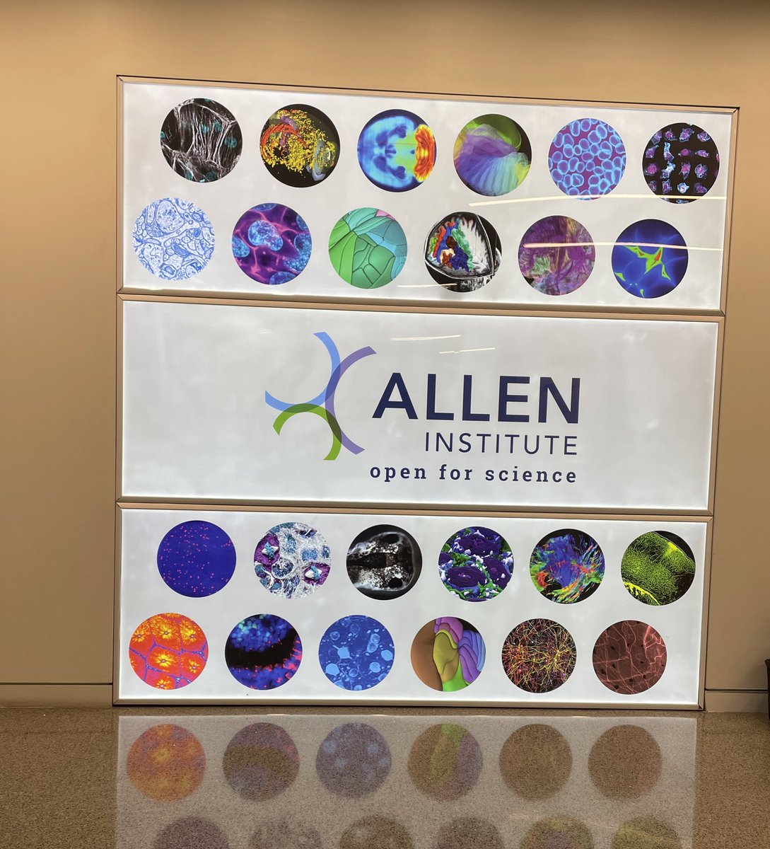 Thanks for showing us some of your incredible research <a href="/AllenInstitute/">Allen Institute</a>! 🤩