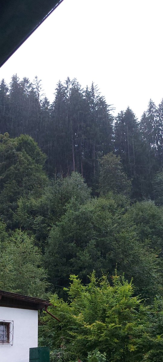 Endlich Regen, wünsche euch einen schönen Freitag Abend 🍺🍷🍹😚