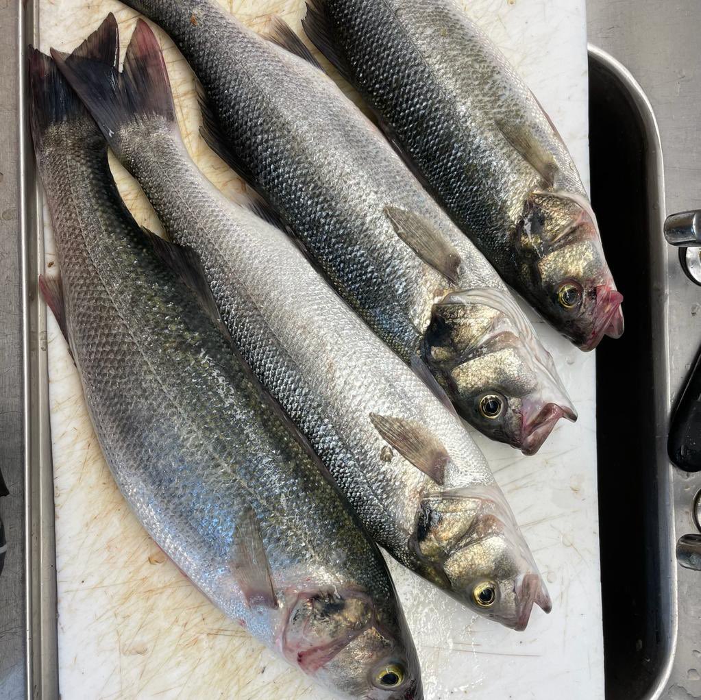 StartBayInn's tweet photo. Fresh in & on the #specials board🎣
Has this changed your mind for tonight’s order? 🤔
#Bass #SpecialsBoard #FromSeaToPlate #Pub #ThatchedPub #PubFood #DogFriendlyPub https://t.co/6cyH4v4Nci