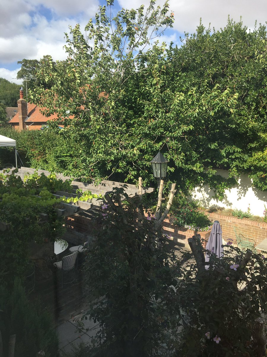 MitraB95's tweet photo. Room with a view #friendwedding weekend 😃#activebride contribution to #NursesActive https://t.co/vypVbKnh9W