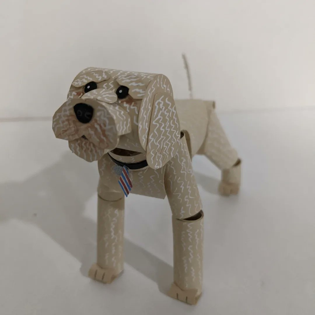 Austin Shyu? tweet media