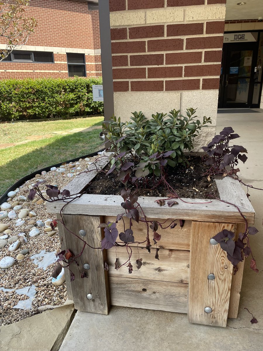 Thank you <a href="/GrowItDesigns/">Grow It Land Designs</a> for beautifying our campus! @DCEtrailblazers ❤️ our business partners!