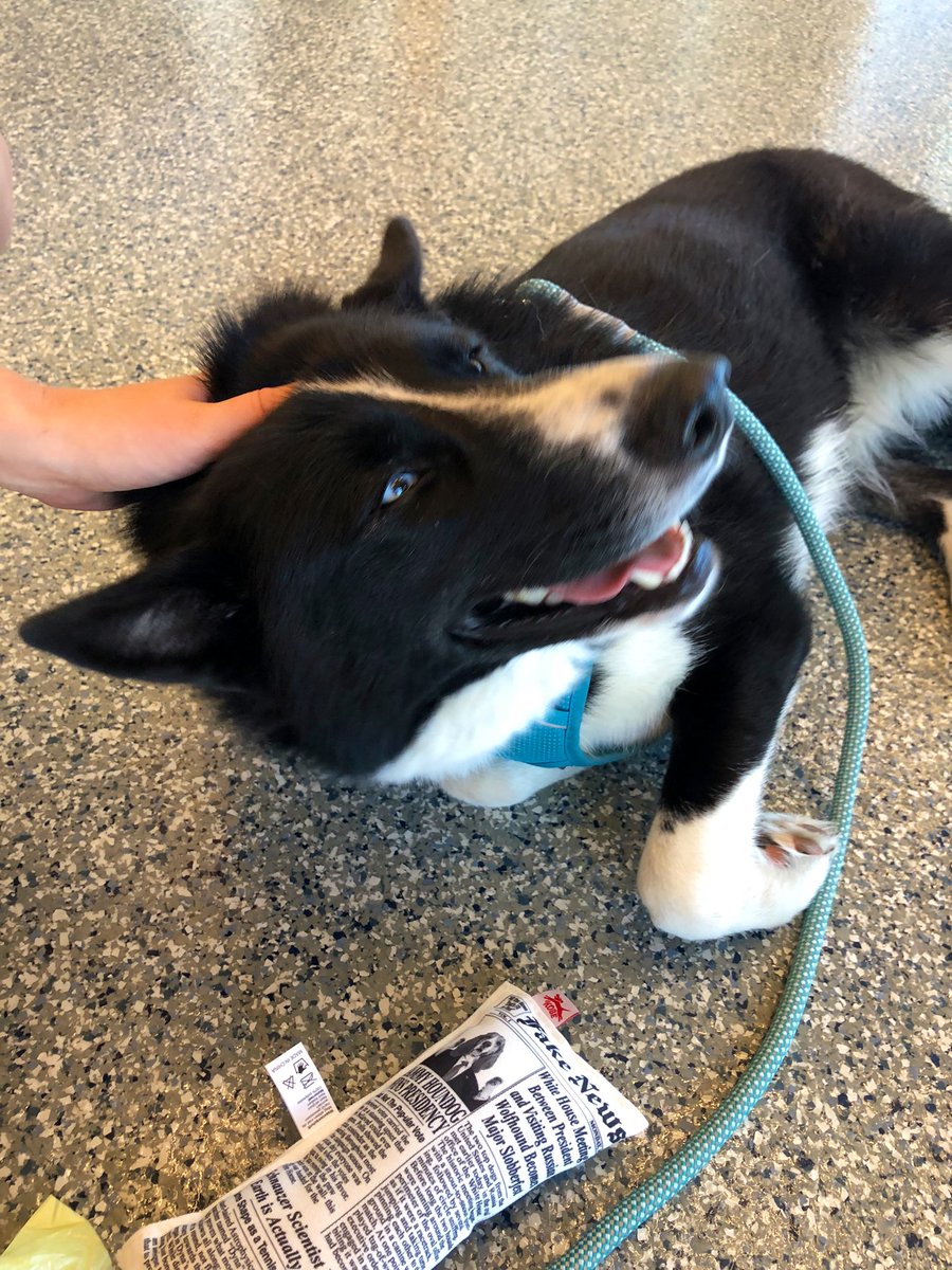 Elizabeth Washington tweet media