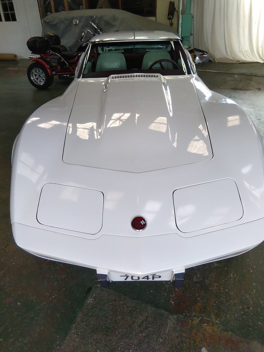 That's one of the cars washed! Have you seen any #car with better curves?
#corvette 
#Musclecars 
#classiccars 