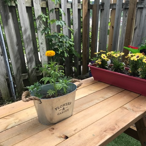 YMCAofNL's tweet photo. The YMCA Youth Community Action Network (#YCAN) recently renovated the backyard drop-in space for a local women's organization via the Backyard Makeover Project.
If you are 15-30 in age & would like to get involved, please contact Barry at 709-746-1025/barry.smith@nl.ymca.ca https://t.co/fPXUbO6OJ0