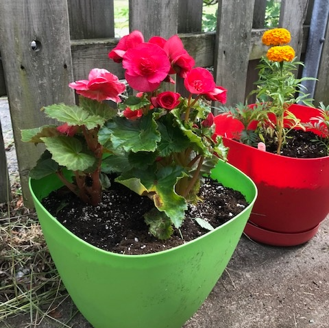 YMCAofNL's tweet photo. The YMCA Youth Community Action Network (#YCAN) recently renovated the backyard drop-in space for a local women's organization via the Backyard Makeover Project.
If you are 15-30 in age & would like to get involved, please contact Barry at 709-746-1025/barry.smith@nl.ymca.ca https://t.co/fPXUbO6OJ0