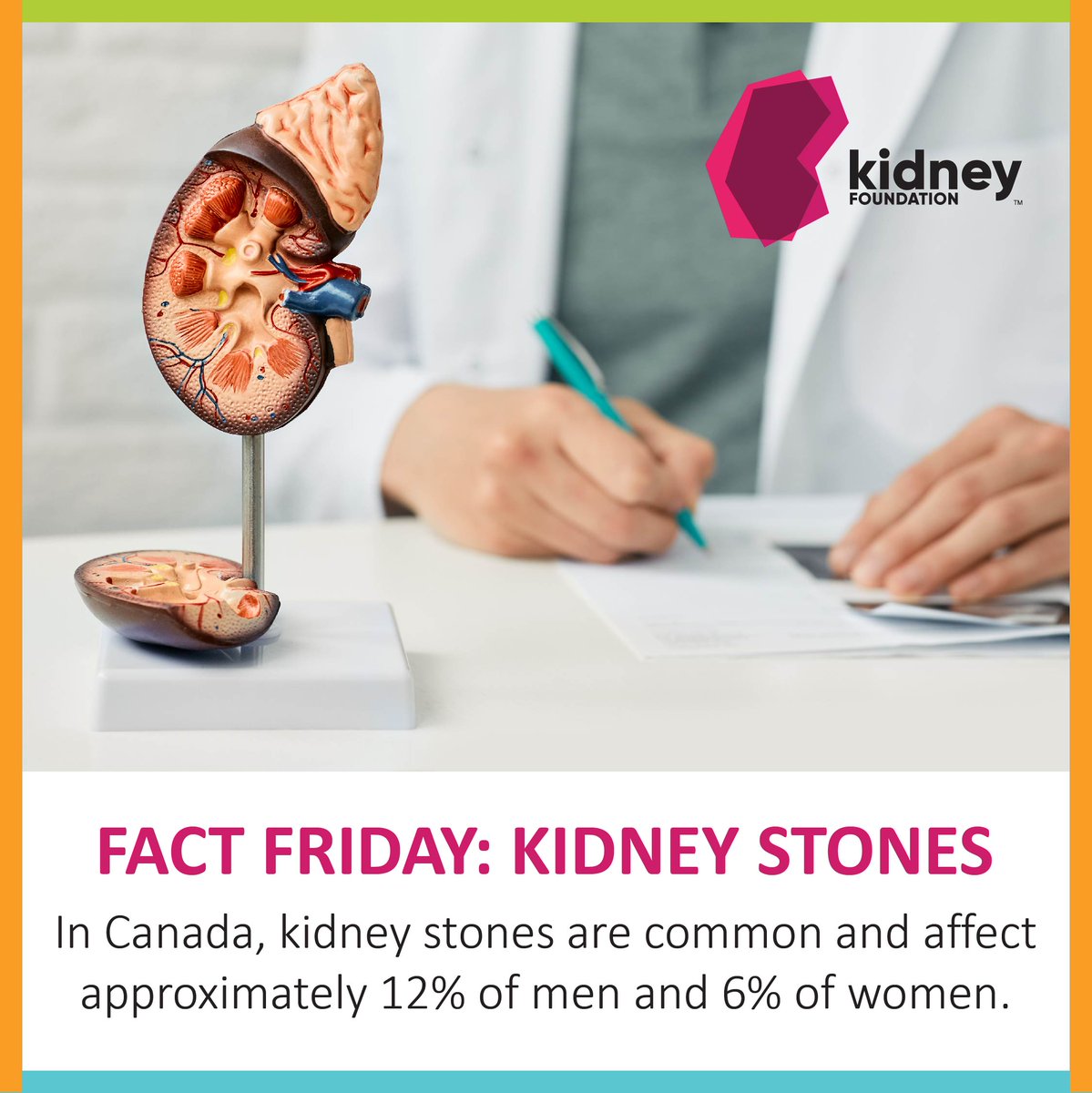 kidneyontario's tweet photo. In Canada, kidney stones are common and affect approximately 12% of men and 6% of women. They can be caused by various factors including family history, diet, under hydration, environmental, urinary conditions, infections, and more. To learn more, read: https://t.co/sXfpO04pwn https://t.co/gWQJsrMcxb