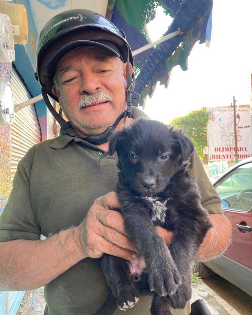 arkharmony's tweet photo. Last weekend, we took a trip to Ocotlan, Jalisco. Walking through a hollow lot we found three abandoned puppies, Chocolate, Vanilla, and Cappuccino. All three are beautiful. They were cold, we offered them water and food. They surely miss their mommy.

#dog #dogs #doglover https://t.co/LmKkOMDAPD