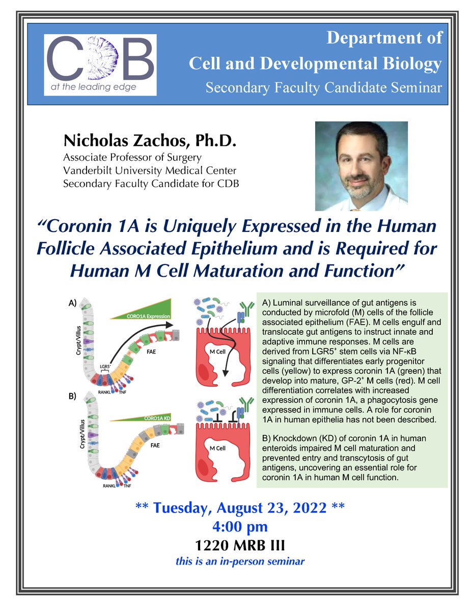 VanderbiltCDB's tweet photo. ๐ TODAY 4pm in 1220 MRB III Nicholas Zachos, Ph.D. presents: โCoronin 1A is Uniquely Expressed in the Human Follicle Associated Epithelium and is Required for Human M Cell Maturation and Functionโ @ZachosLab @VUBasicSciences #enteroids #organoids #Mcells https://t.co/h9NsQ0fJzO