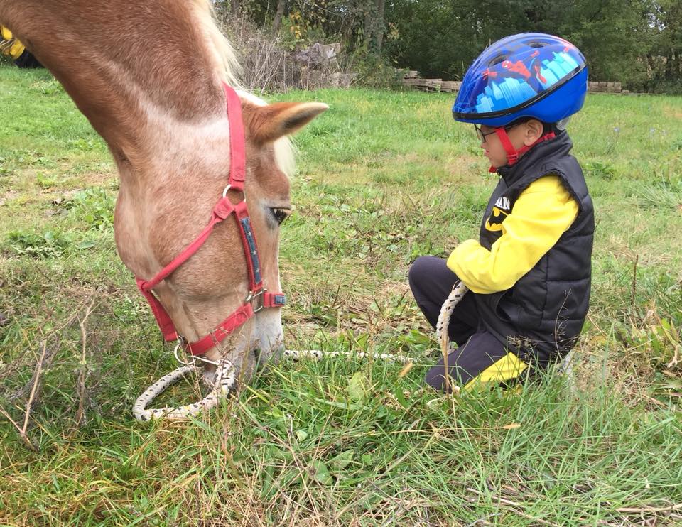 Christmas Mountain Village tweet media