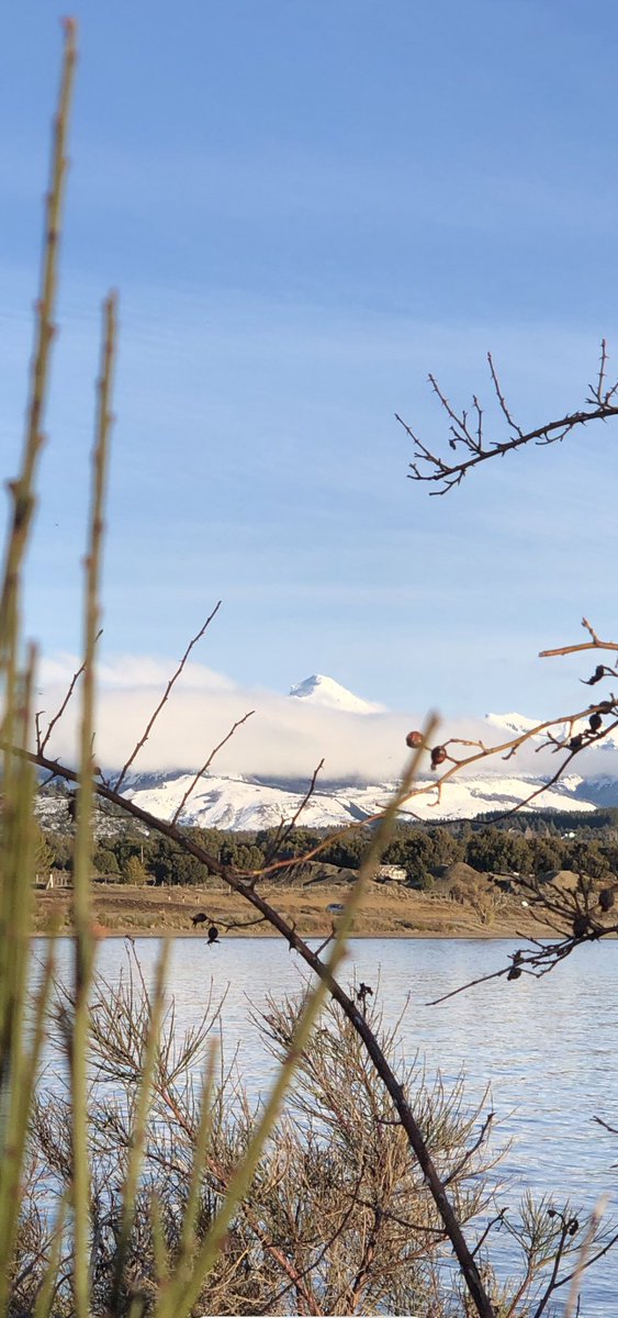 _viajarmas's tweet photo. Que tengan todos un excelente viernes y un lindo fin de semana ❤️ #sanmartindelosandes #viernes #patagonia #foto #viajarmas #viajeros #viajes #paisajesmagicos https://t.co/CqGkN6FpRO