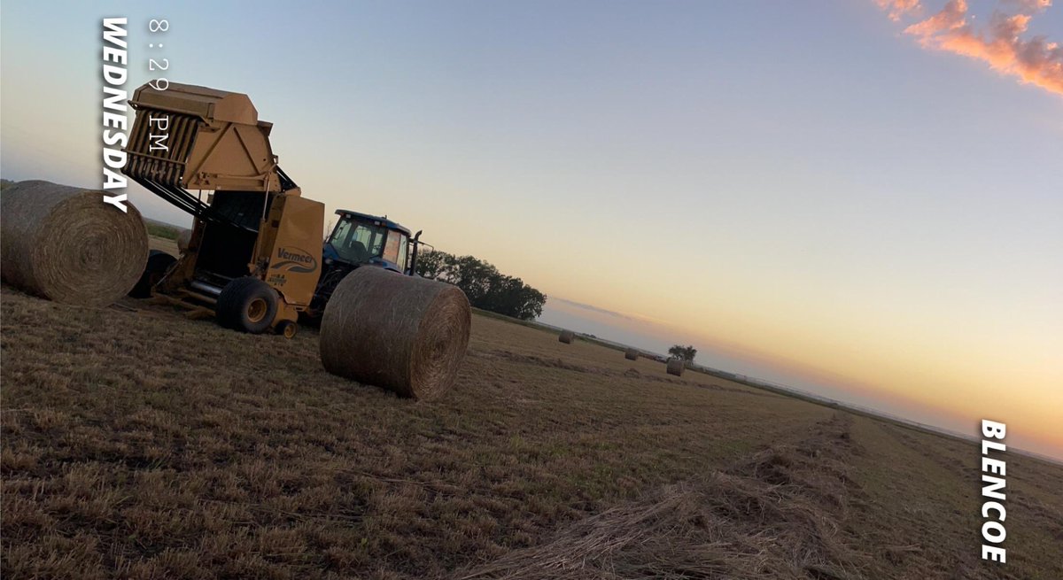 My son has CRP hay for sale. Was baled or burnt last year, new growth. Approximately 1700# bales. 600+ available. Located between Omaha and Sioux City. Loading available.  Owen-712 216 1544. RT's appreciated.