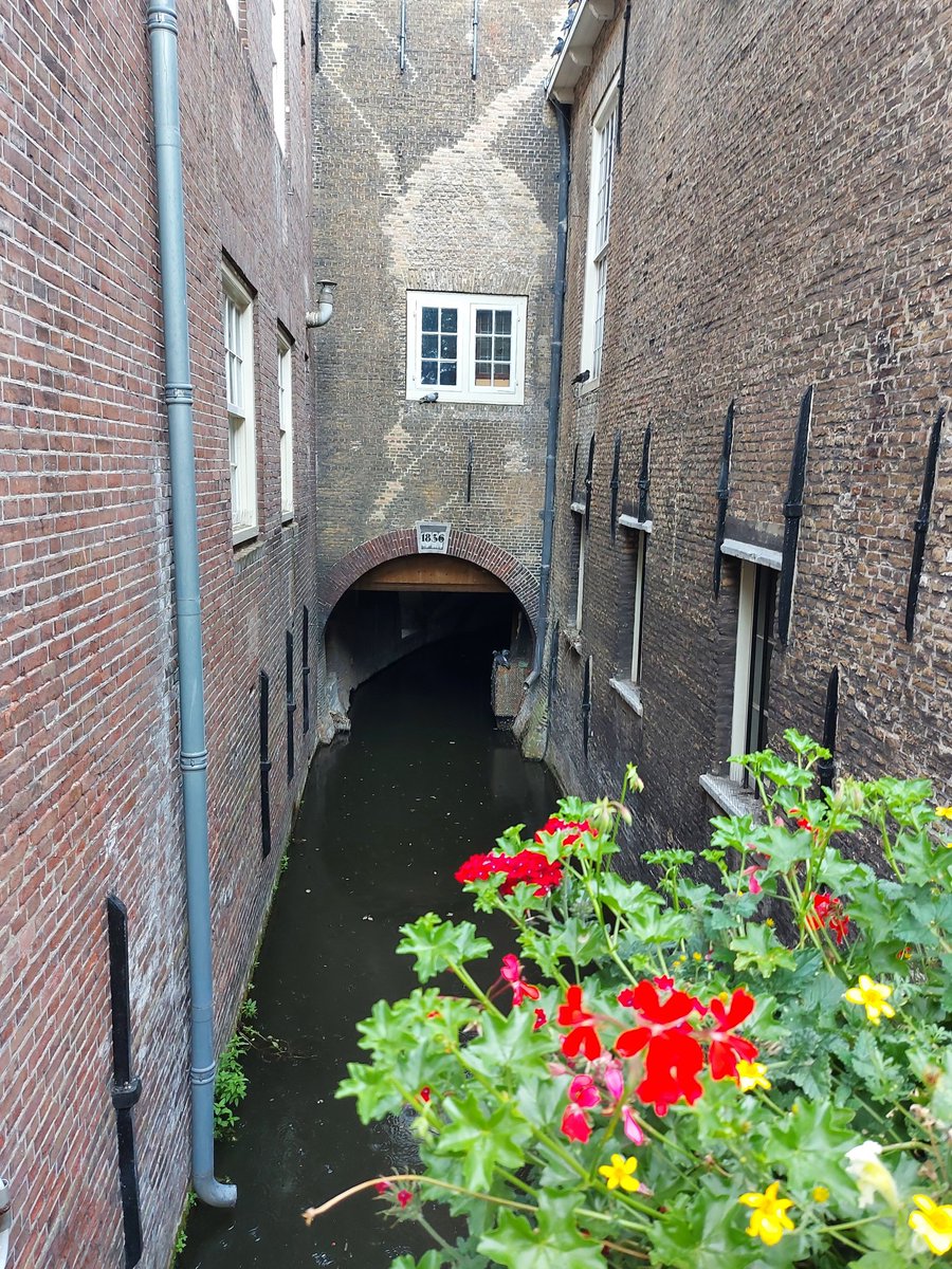 #Haiku Ecco homo
-
Het zwart van de sloot,
vergeet het, gewoon een vent
met een bos bloemen...
-
#eccohomo #Gouda