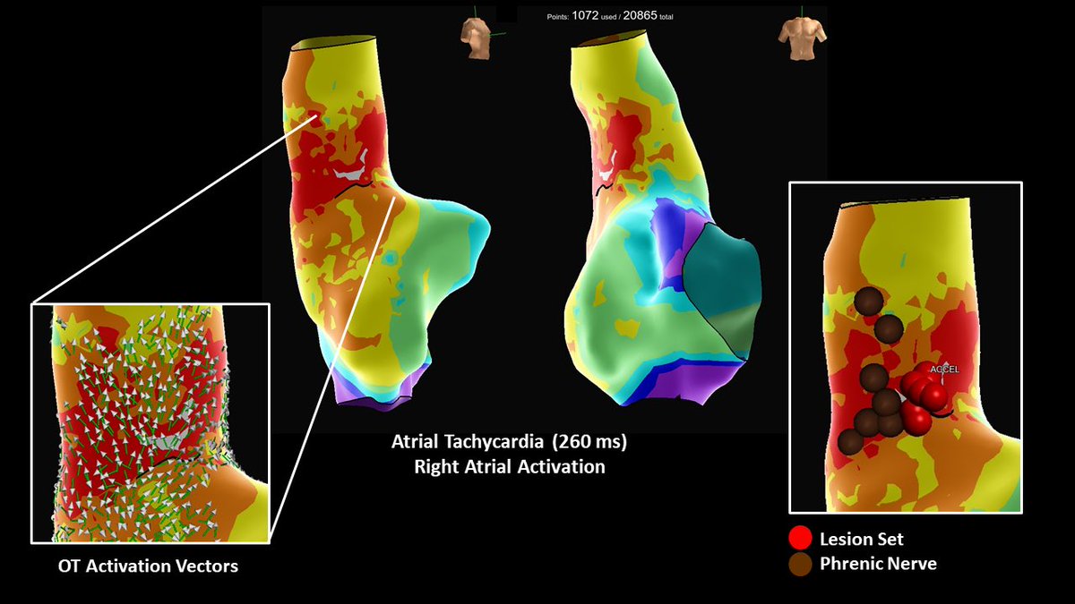 Margo Shemaria tweet media