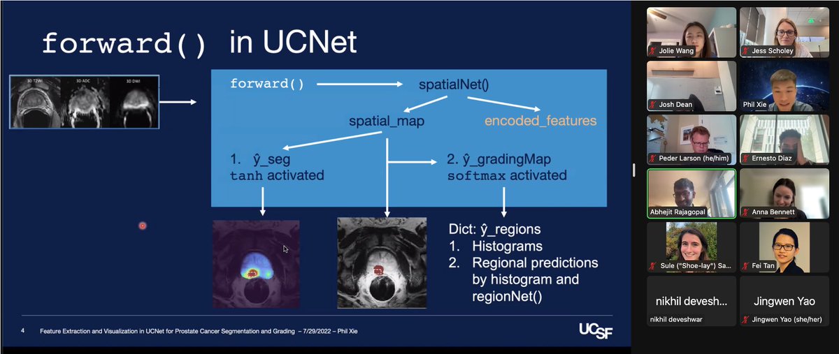 Jess Scholey tweet media