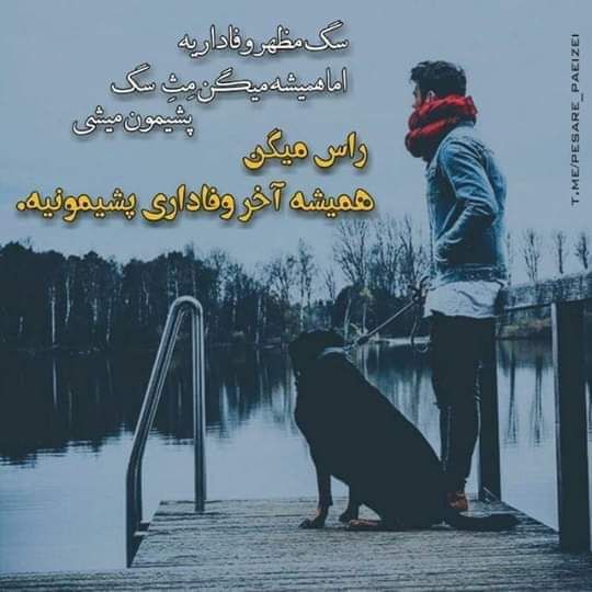 JKayfi's tweet photo. https://t.co/rLuwlfxiCd