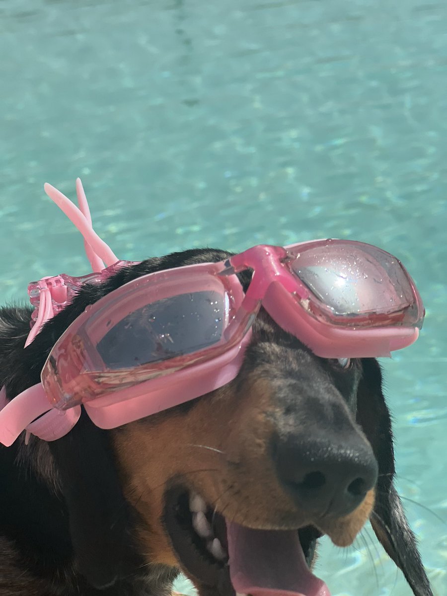 Let’s hope I float! 🤞🛟