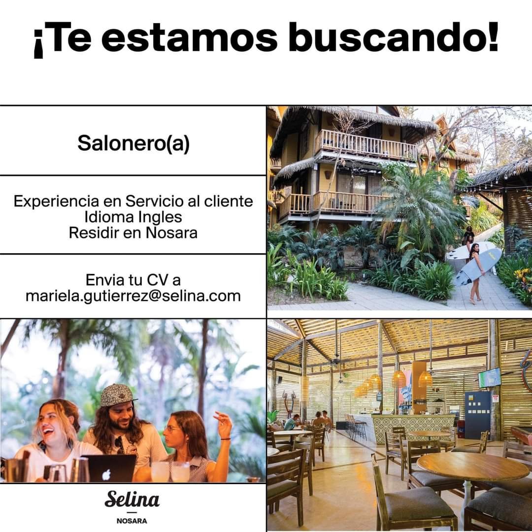 BreteBuscando's tweet photo. https://t.co/Vy8P0DFiDA