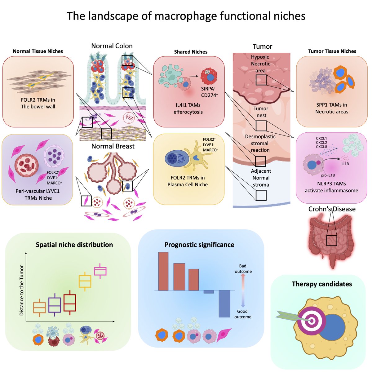 Magdalena Matusiak tweet media