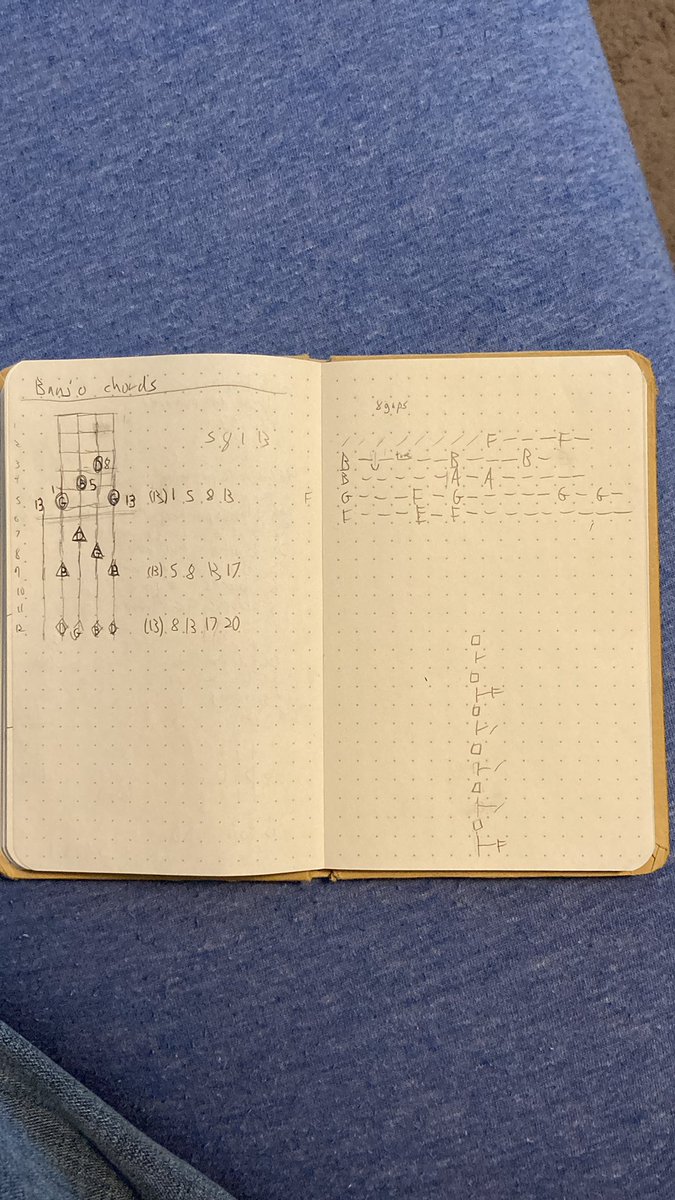 EmSecretary's tweet photo. Banjo G chord inversions, and a fragment of a song with note duration measured in mine cart distance. I assume she kept the memory private because that’s her default, but I dunno why she laughed and made me go look at our journal instead of just telling me. Headmates are weird. https://t.co/JswQw4RBd8